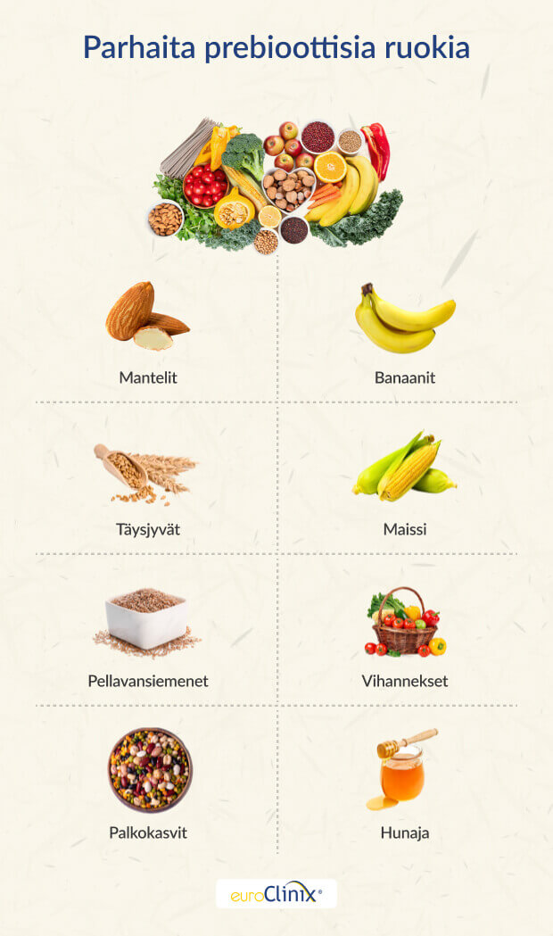 Valikoima prebioottisia ruokia valkoisella taustavärillä.