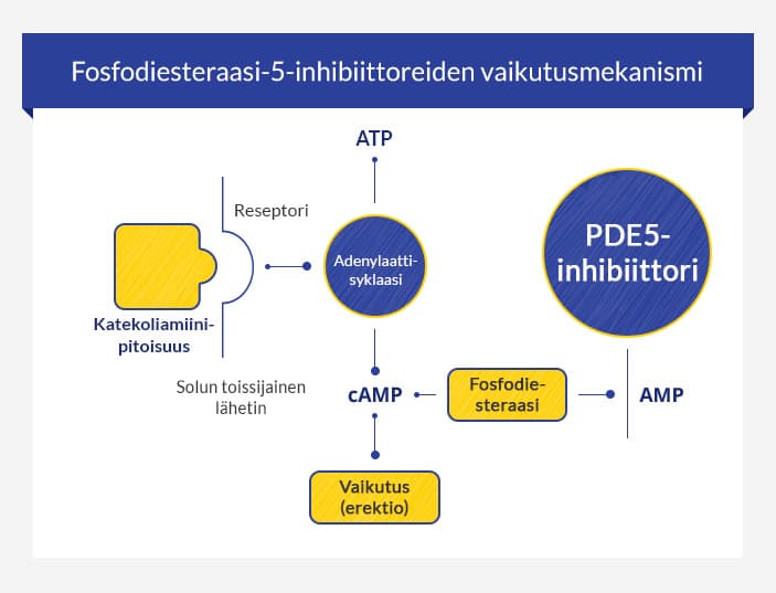 PDE5-estäjien ostaminen netistä • euroClinix®