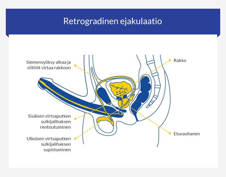 ennenaikaista siemensyoksya