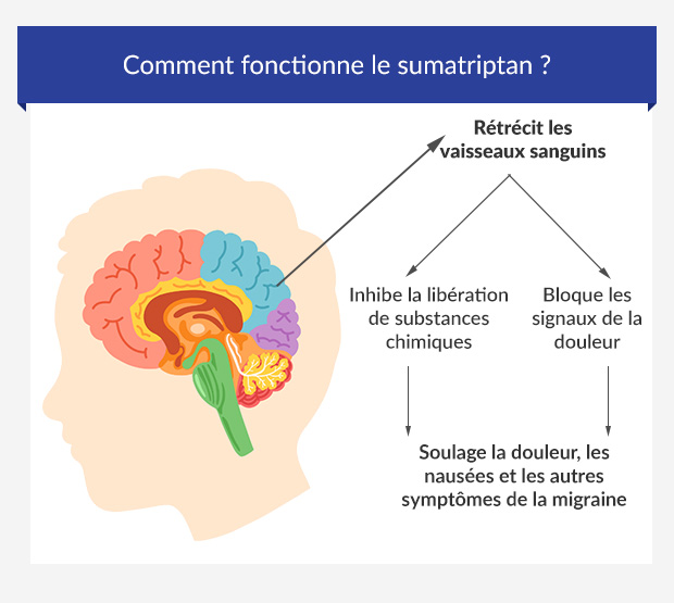 Graphique illustrant l'action du sumatriptan au niveau du cerveau