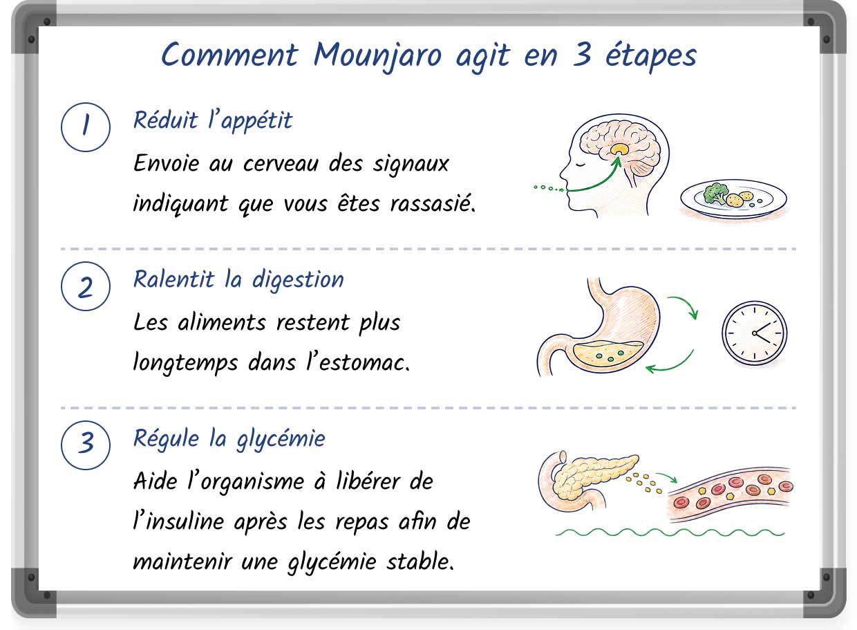 A whiteboard illustration explaining how Mounjaro works for weight loss in 3 steps =