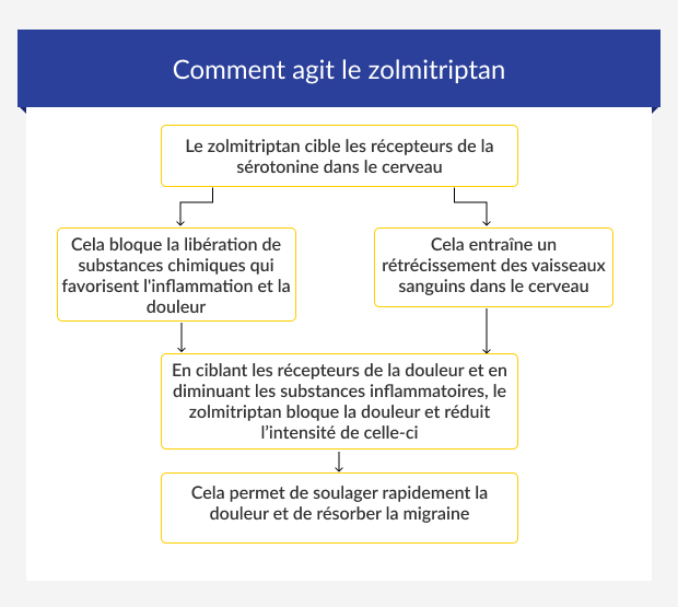 Guide étape par étape de l'action du zolmitriptan