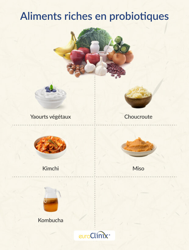 Sélection d'aliments probiotiques sur fond blanc