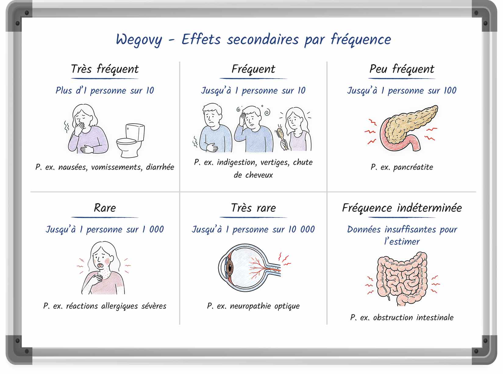  Illustration de style tableau blanc présentant la fréquence des effets secondaires de Wegovy.