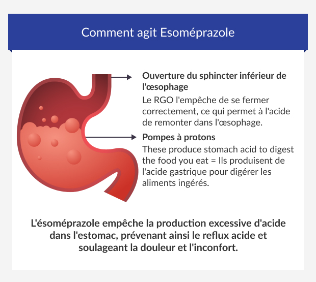 Comment l'Ésoméprazole traite le reflux acide