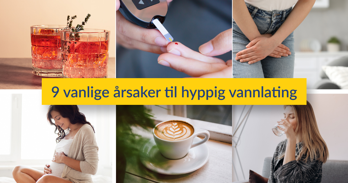Collage av faktorer som påvirker hvor ofte vi tisser