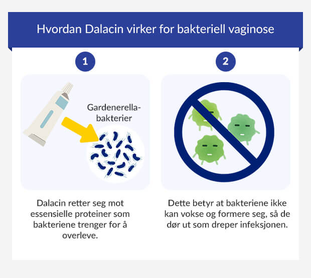 Grafik zeigt, wie Sobelin-Creme bakterielle Vaginose behandelt.