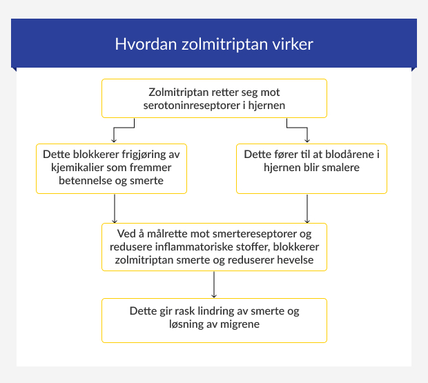Trinn-for-trinn guide for hvordan zolmitriptan virker