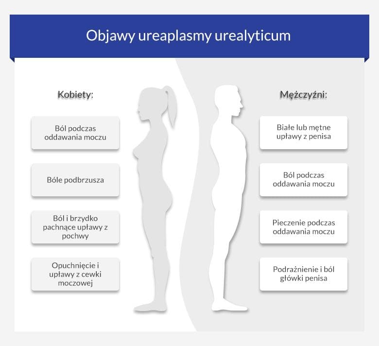 Az ureaplasma normája férfiak szerint kor szerint. Ureaplazmózis férfiaknál