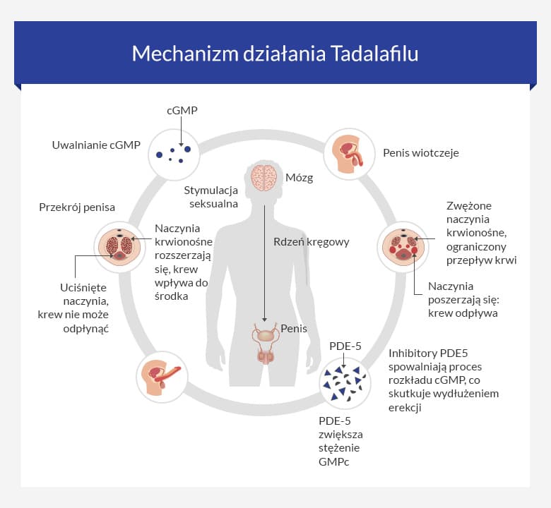 Tadalafil (20, 10, 5 mg) cena od 544 zł • bez recepty
