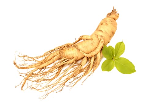 Ginseng para impotência