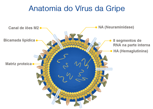 Gripe • Sintomas e Tratamentos do Vírus da Gripe • Portugal