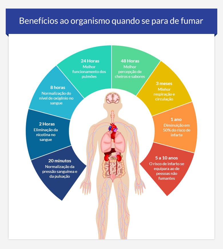 Factos Sobre Fumar • Substâncias nocivas do cigarro Factos Sobre Fumar • Substâncias nocivas do cigarro
