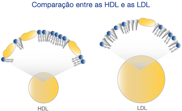 comparar colesterol HDL com LDL