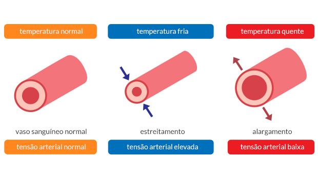 Tensão Arterial