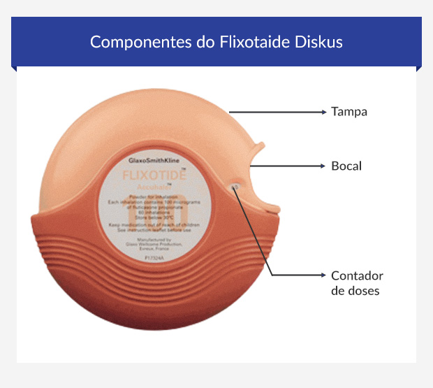 Componentes do inalador Flixotaide