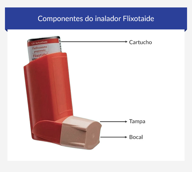 Componentes do Flixotaide Diskus