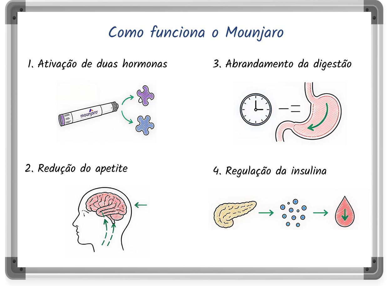 Ilustração em estilo quadro branco que explica como funciona o Mounjaro