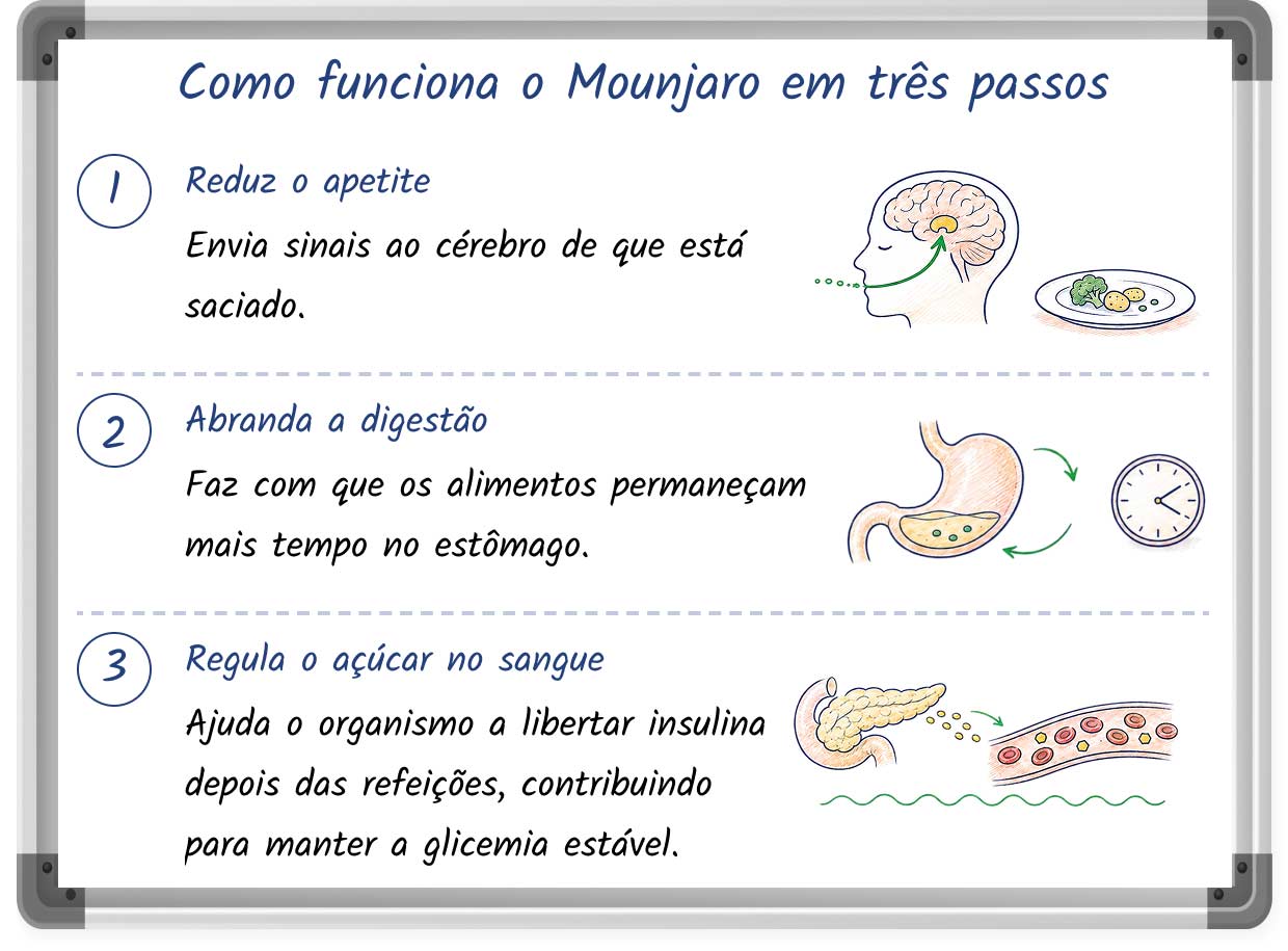 Ilustração em estilo de quadro branco que explica em três passos como funciona o Mounjaro na perda de peso