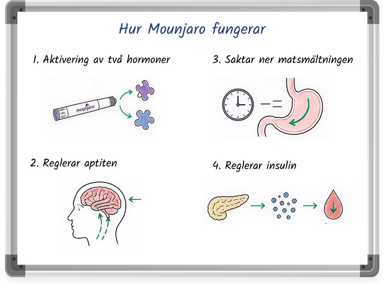 En whiteboardillustration som förklarar hur Mounjaro fungerar
