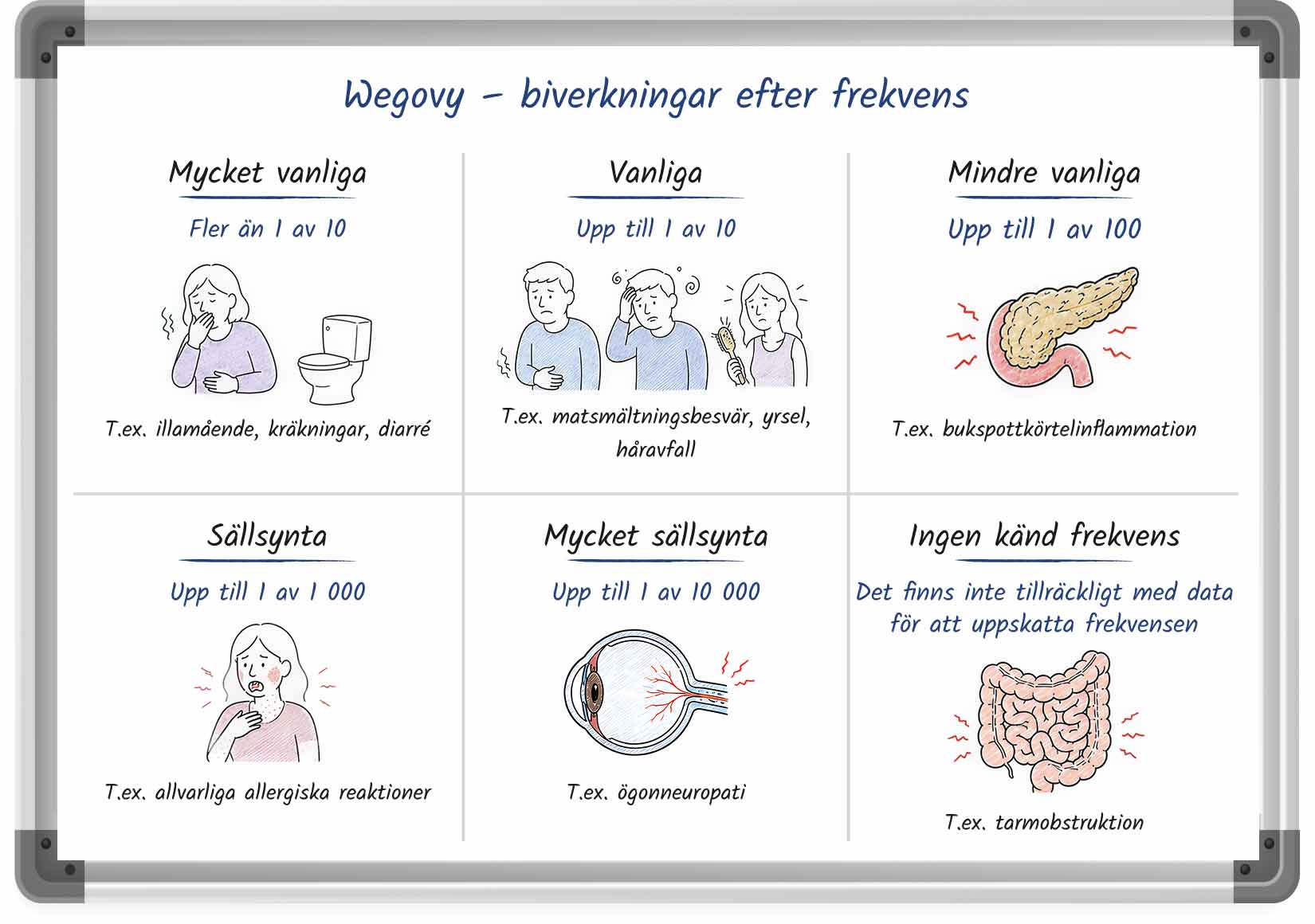 Whiteboardliknande illustration som visar hur vanliga biverkningarna av Wegovy är
